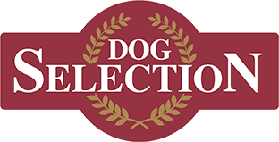 Dog Selection