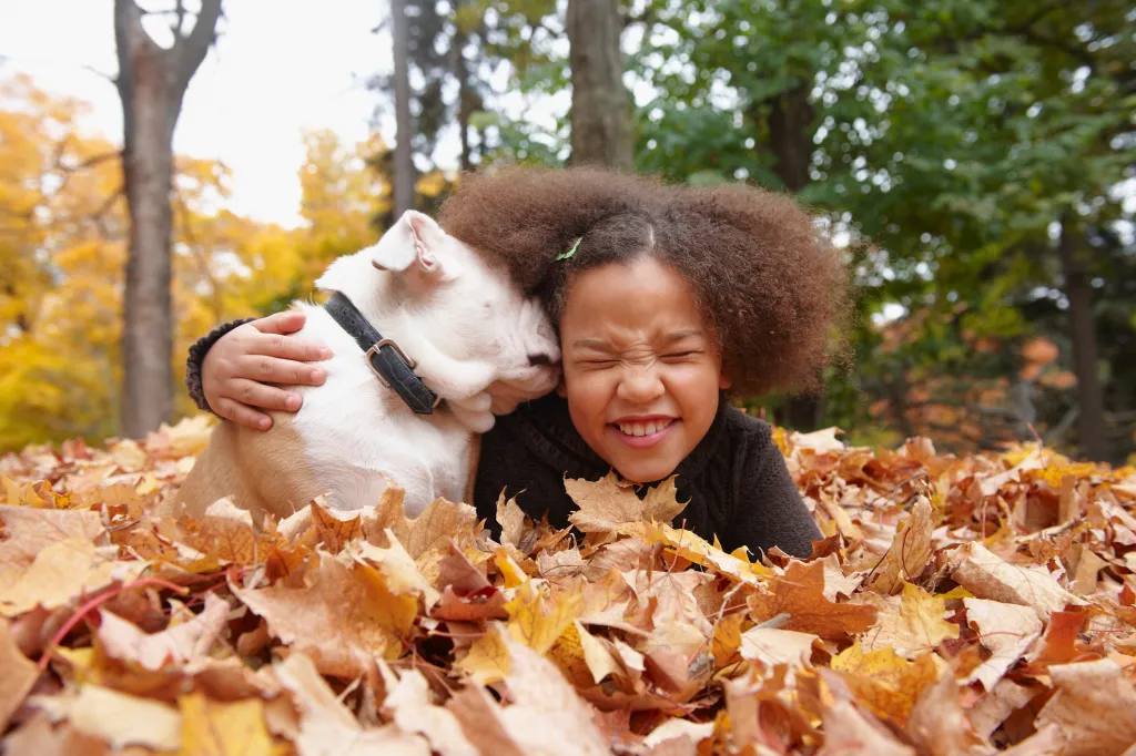 Niña de origen mixto y un perro apto para niños laidos en hojas de otoño