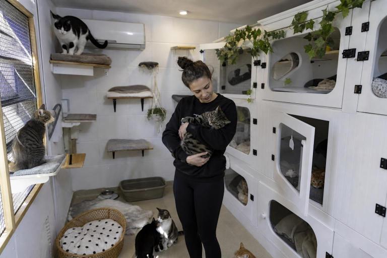 Convirtió su garaje en un hotel cinco estrellas para gatos callejeros y ahora tiene lista de espera
