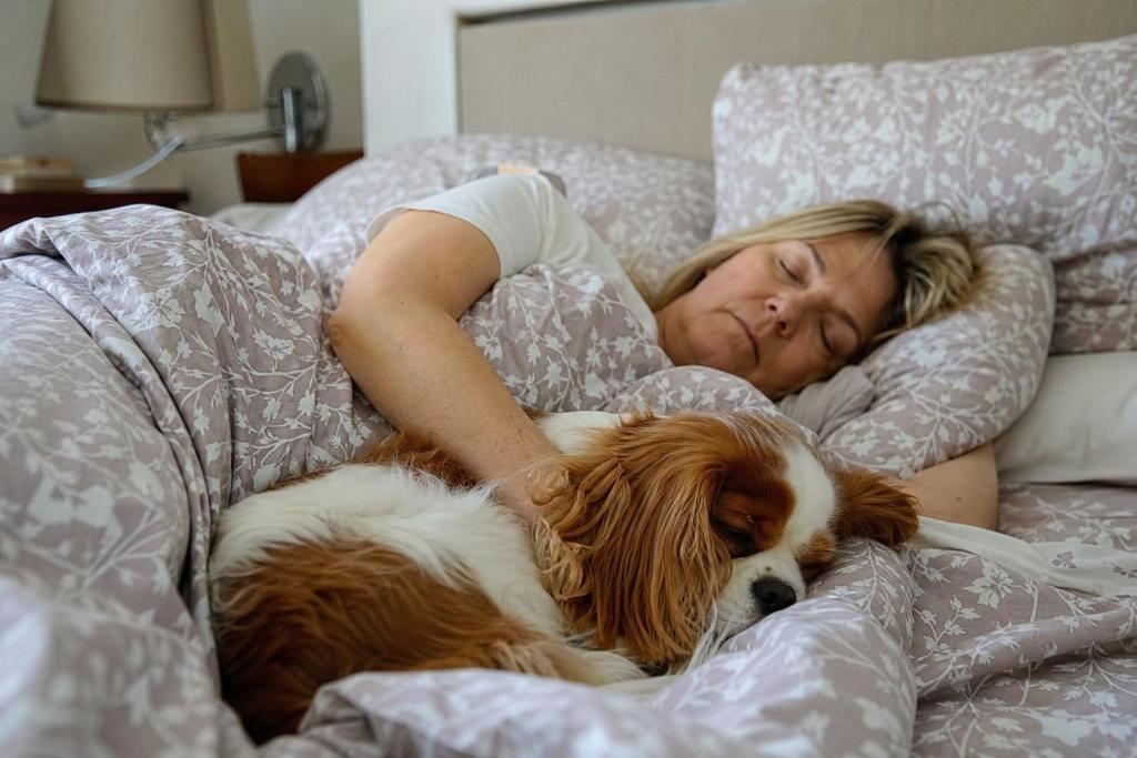 Dejar que el perro duerma en la cama: ¿buena o mala idea?