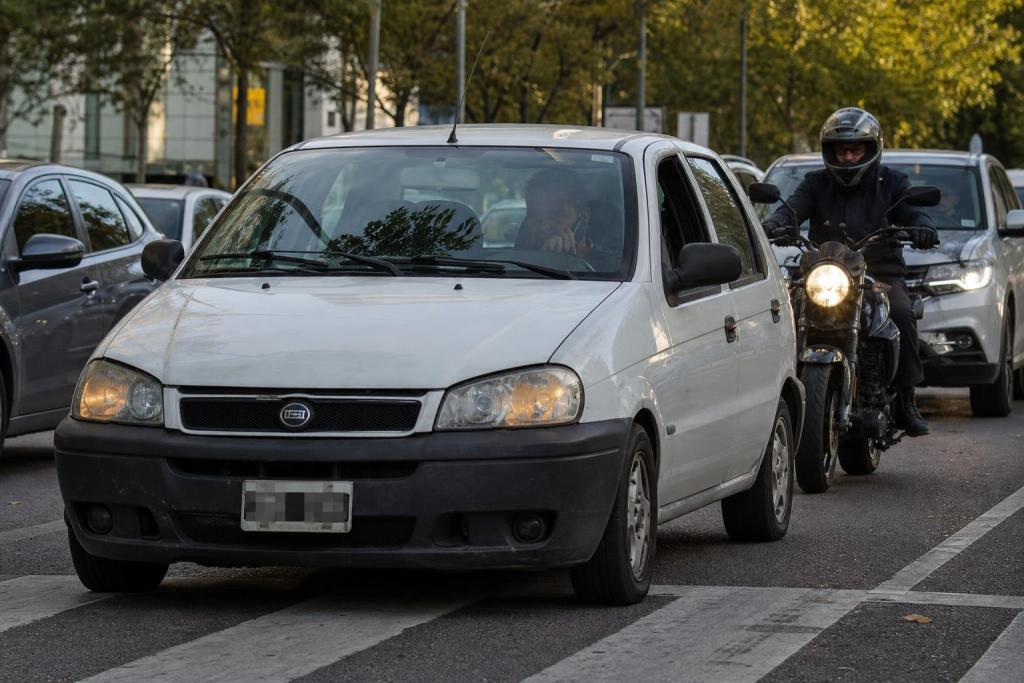 El animal más peligroso de la Argentina no es el que imaginás