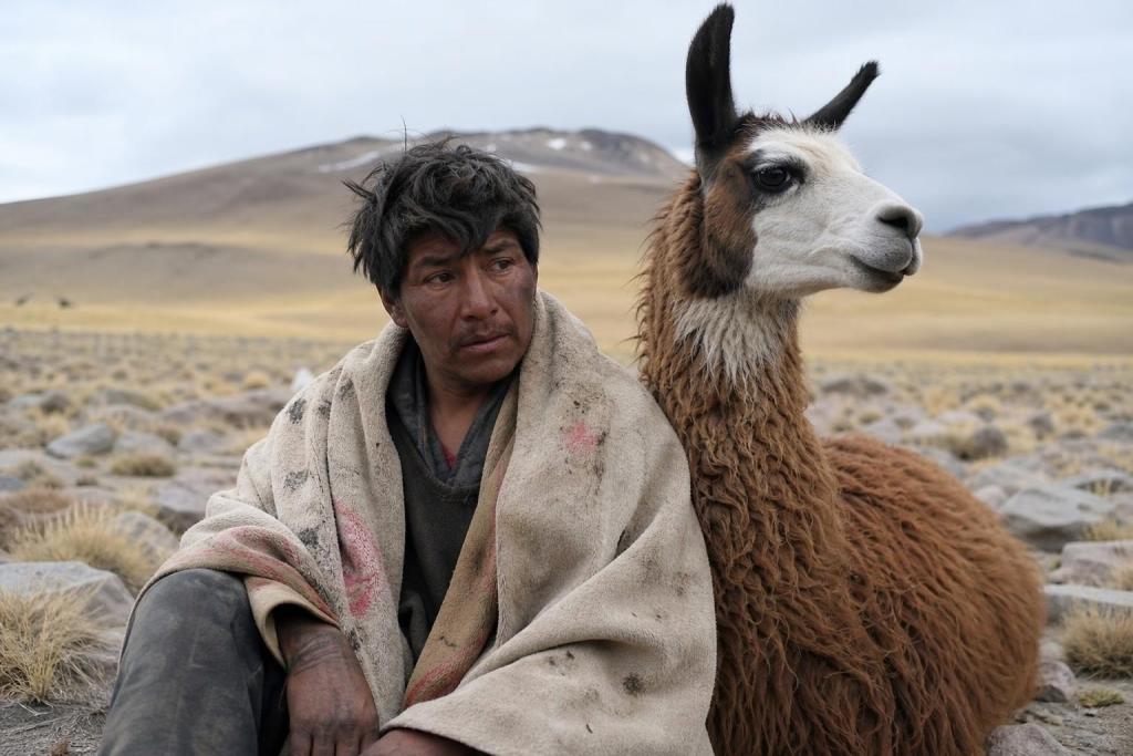 Perdido durante tres días en la Puna sobrevivió gracias a una llama que no se separó de él