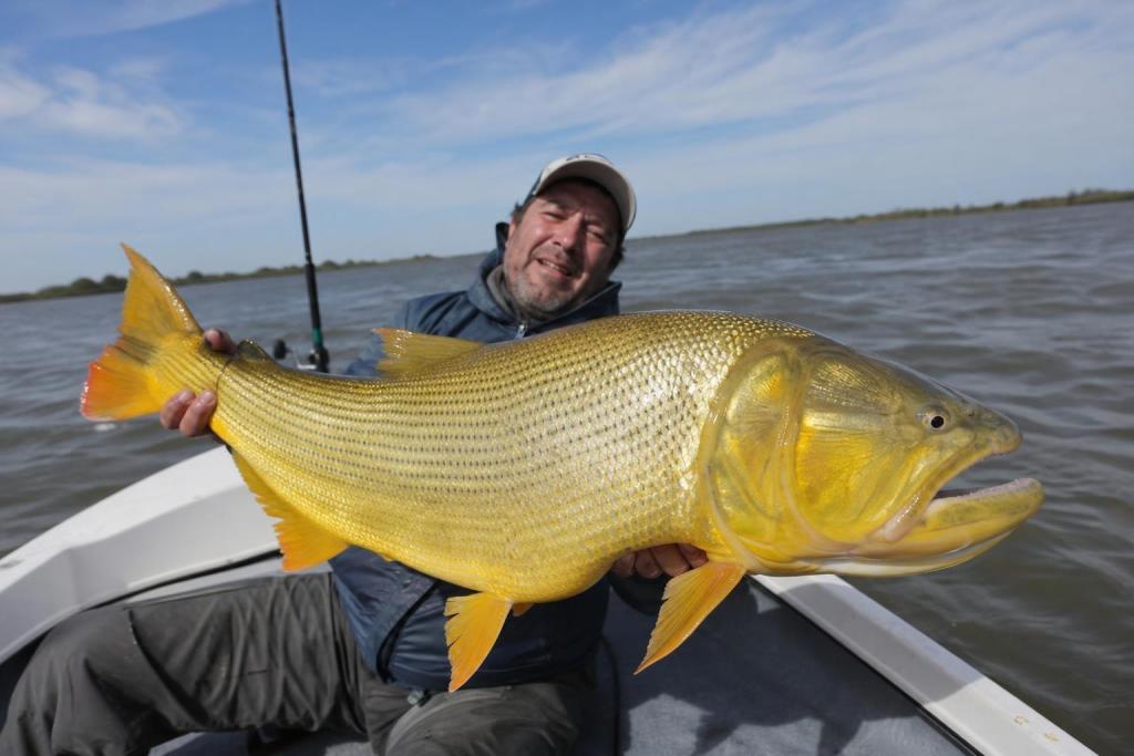 Récord en el Delta: un pescador saca un dorado gigante después de una hora de lucha