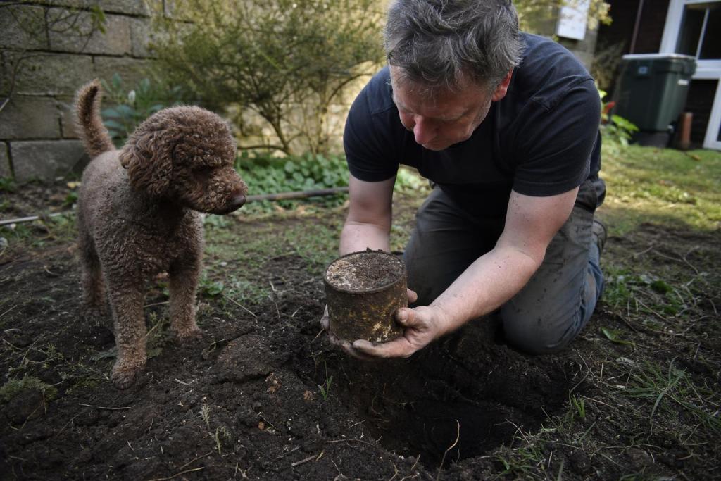 Su perro desenterró algo en el fondo del jardín: una lata con monedas de hace más de un siglo