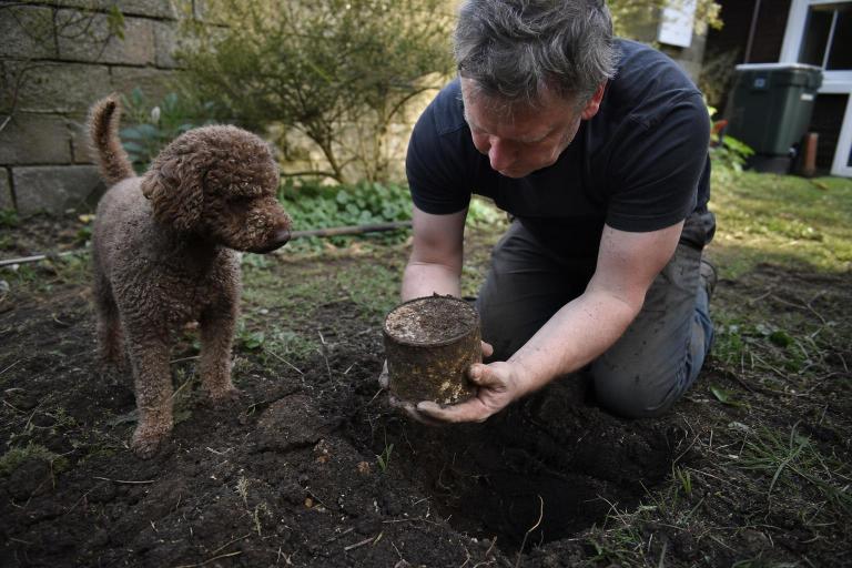 Su perro desenterró algo en el fondo del jardín: una lata con monedas de hace más de un siglo