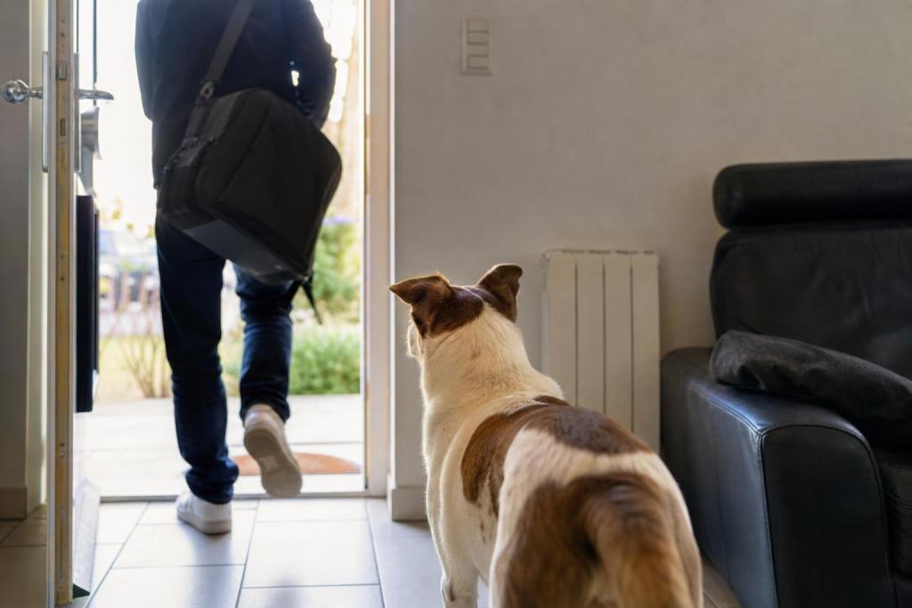 ¿Tu perro se da cuenta de cuánto tiempo estuviste afuera de casa?