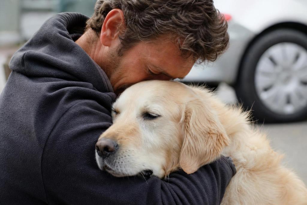 Un estudio revela que los perros lloran de emoción cuando se reencuentran con su dueño