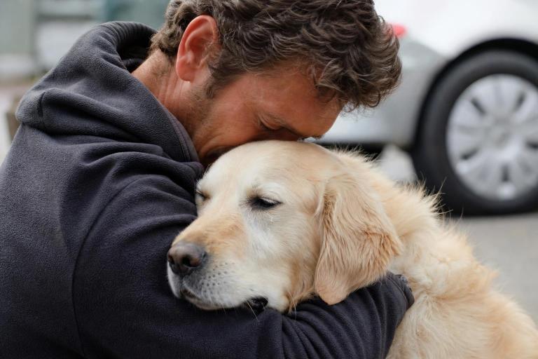 Un estudio revela que los perros lloran de emoción cuando se reencuentran con su dueño