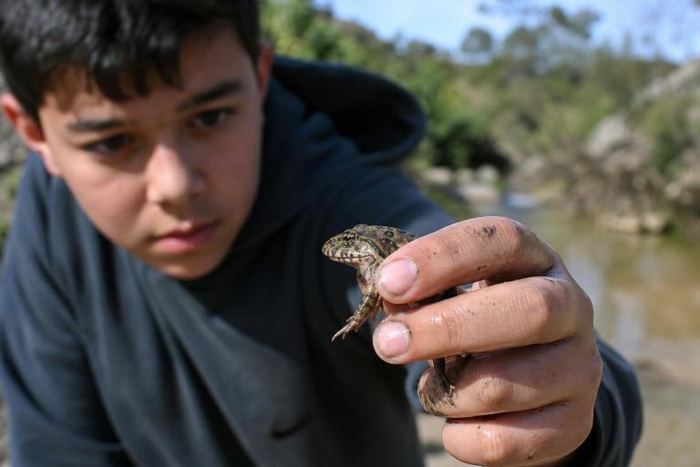 Unos chicos encuentran en un arroyo de Córdoba una rana que los científicos daban por extinguida